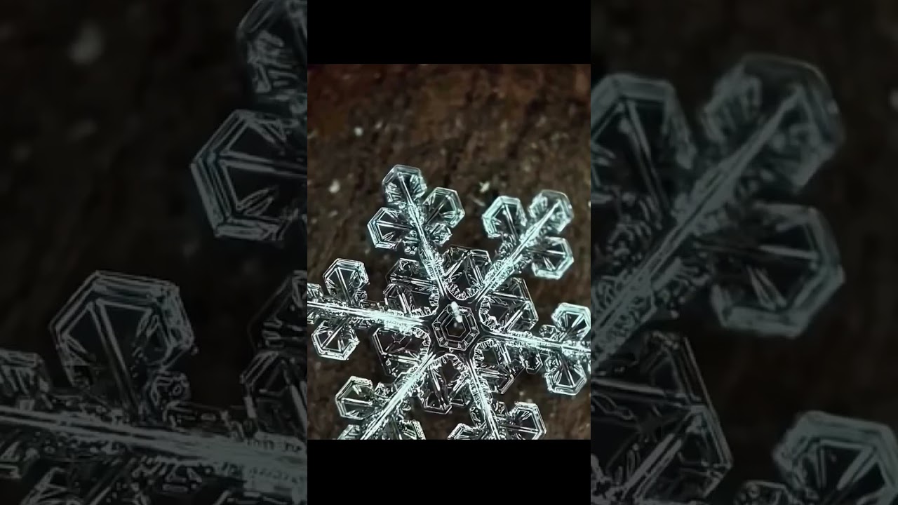 Watch What Snow Really Looks Like Under a Microscope 🤯❄️ | Hidden World of Snowflakes #sciencefacts #short on YouTube Watch What Snow Really Looks Like Under a Microscope 🤯❄️ | Hidden World of Snowflakes #sciencefacts #short on YouTube