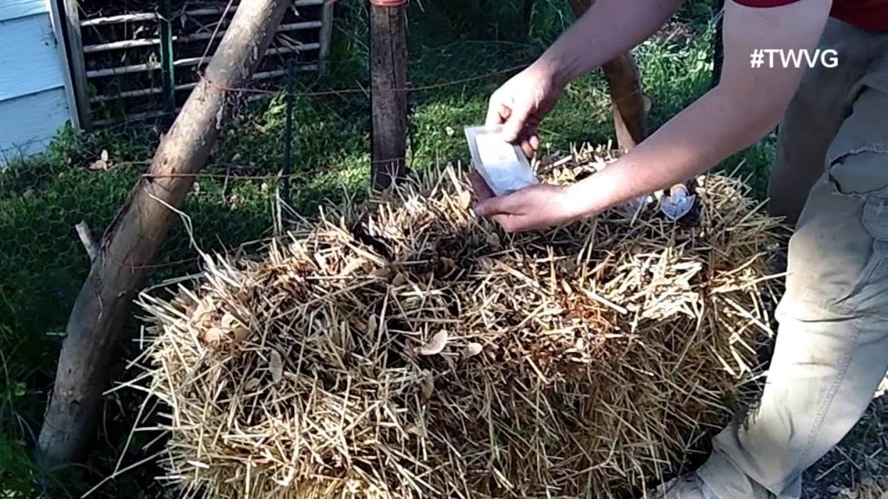 Straw bale Gardening Prep to Plant to Harvest -Straight to ...