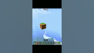 Minecraft Rabbit iq Test #minecraftshorts