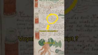 The Voynich Manuscript An Eternal Mystery ?? 😱😱✨ #viral #history #scary