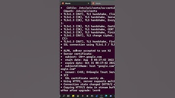 what this will return curl  -v🤯  // Master Linux #89 #linux #shorts
