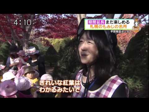 どさんこワイド出演