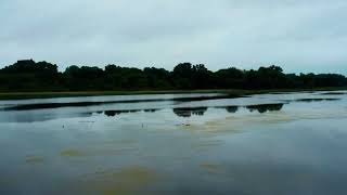 Cloudy Skies June 1 2024 5:27 AM HD Short Version #drone #spring #relaxing