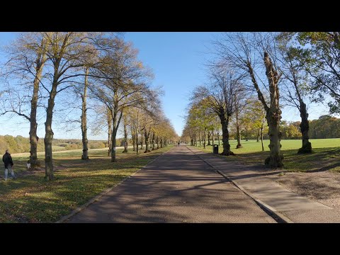 Walking in London: Trent Country Park in Autumn 2020 (Part 1) [4K]