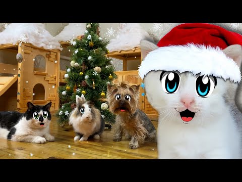 24 ЧАСА УКРАШАЕМ ЁЛКУ на НОВЫЙ ГОД! КТО ЛУЧШЕ УКРАСИТ ЧЕЛЛЕНДЖ