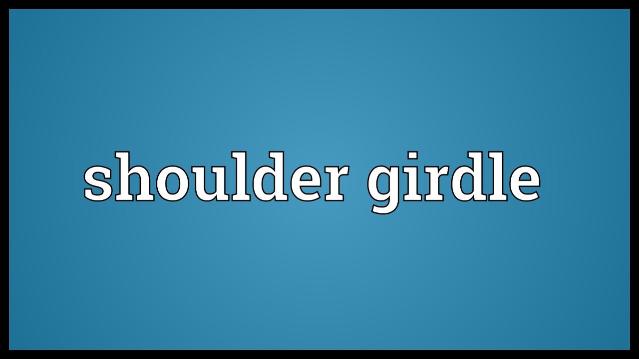 Shoulder girdle Meaning 