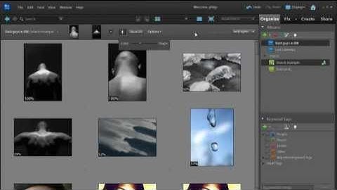 Photoshop Elements: Zero in on the Photos You Need