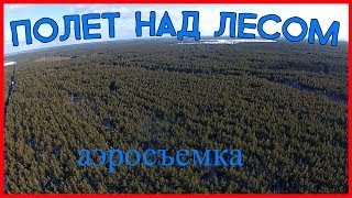 Полет над лесом| аэросъемка