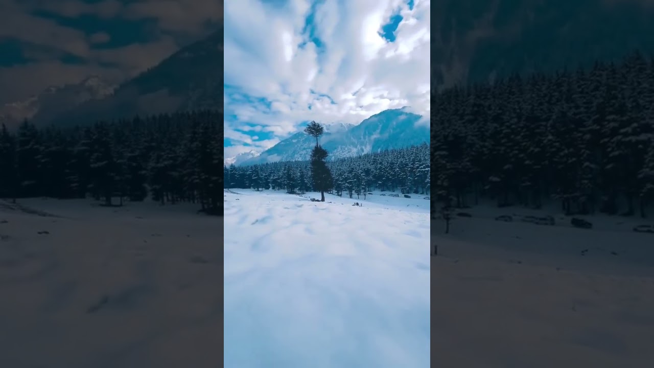 Ushu Forest, Kalam Valley, Breathtaking Views of Swat Valley, Pakistan's Hidden Beauty