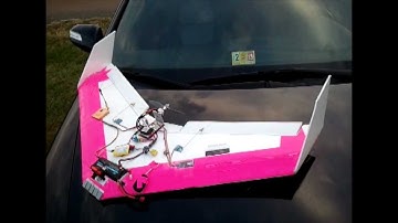 FPV40 Dollar Tree Flying Wing Maiden