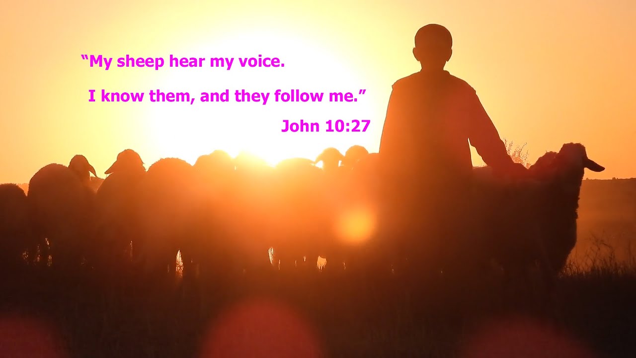 4th Sunday In Easter 30th April 2023 YouTube 4th-sunday-in-easter-30th-april-2023-youtube