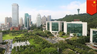 China building water absorbent 'sponge cities'- TomoNews