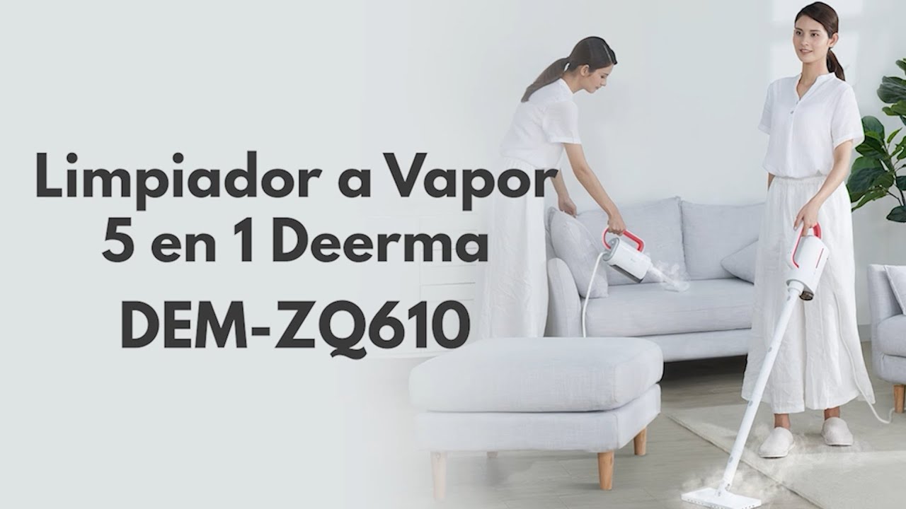 Limpiador de Vapor SC 2.500 C / Home & Garden 