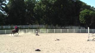 Eric Smiley Clinic - Hillary and Puff Stadium 7