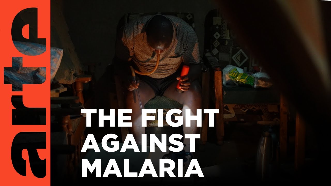 Documentary backdrop image for Kenya: Mosquitoes Fight Back (2024)