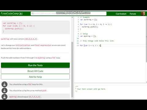 Basic JavaScript Count Backwards With a For Loop free code camp   Dani