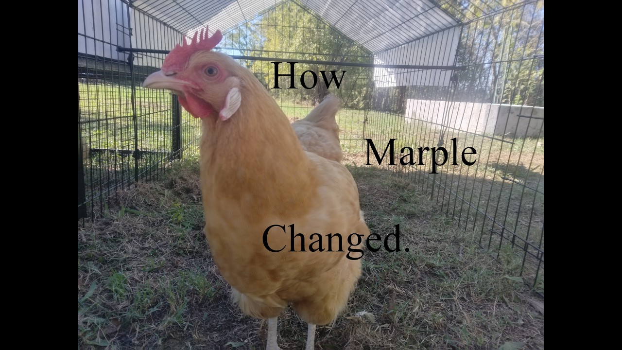 Marple Marple Changed After Her Sister Died - YouTube
