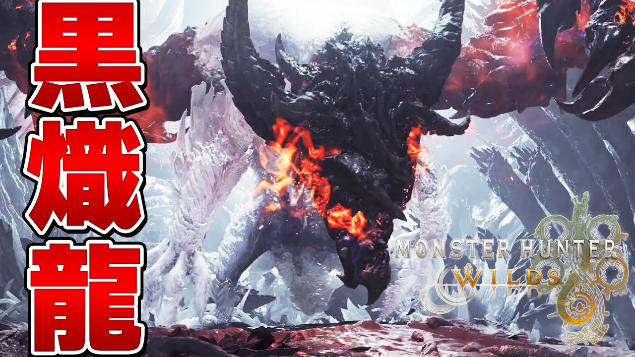 Final Battle! High Rank White Dragon Zo-Shia First Time Solo with