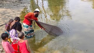 Net Fishing ll Big Fish Catching Using by Cast Net in the Village Pond