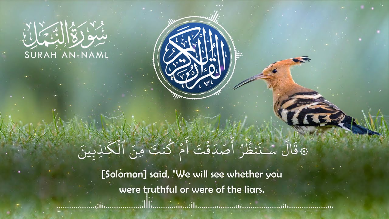 Surah An-Naml Muhammad Ali Al-Ghurbani || سورة النمل محمد علي الغرباني