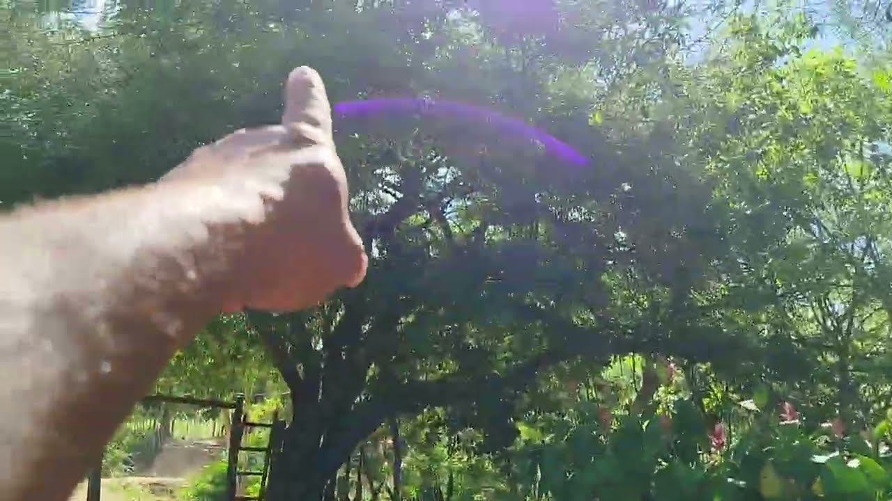 Já vendida Sítio  18 hectares escritura R$ 170,000 mil 23 km Salinas Mg norte minas ZAP 38)999379597