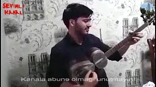 Canlı Musiqi Gənc Tarzən Nurlan Dalğalar Mahnısı Və Ardınca Gözəl Seygah Muğamı