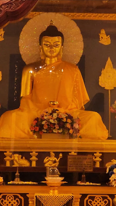 BUDU SADU,......#buddha #tiktok #VIRALSHORT #SHORTSFEED #SHORTS #VIRALVIDEO #SHORTSFEED #SHORTS