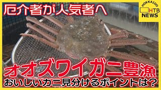 無料テレビで北海道ニュースを視聴する