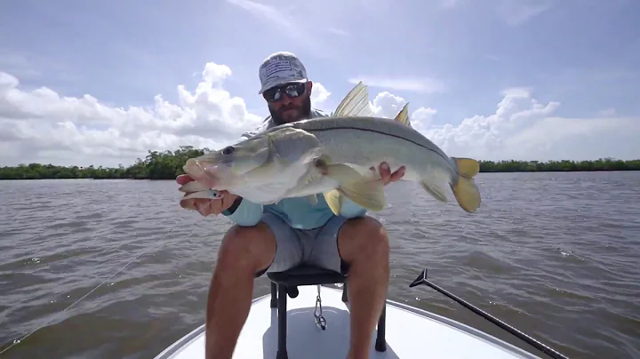 Tsunami Tackle,  Backcountry with Patrick Rhea