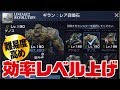 【リネレボ】とりまLv.190目指そう!召喚石使って効率レベル上げ《リネージュ2 レボリューション》
