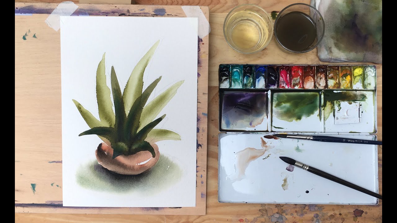 Ejercicio 11. Como pintar plantas a la acuarela Aloe Vera YouTube