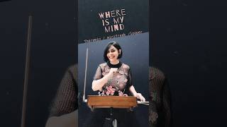 #theremin #minifreak #looper #whereismymind #cover #charlottedubois #synthwave #pixies