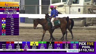 Fair Grounds Today