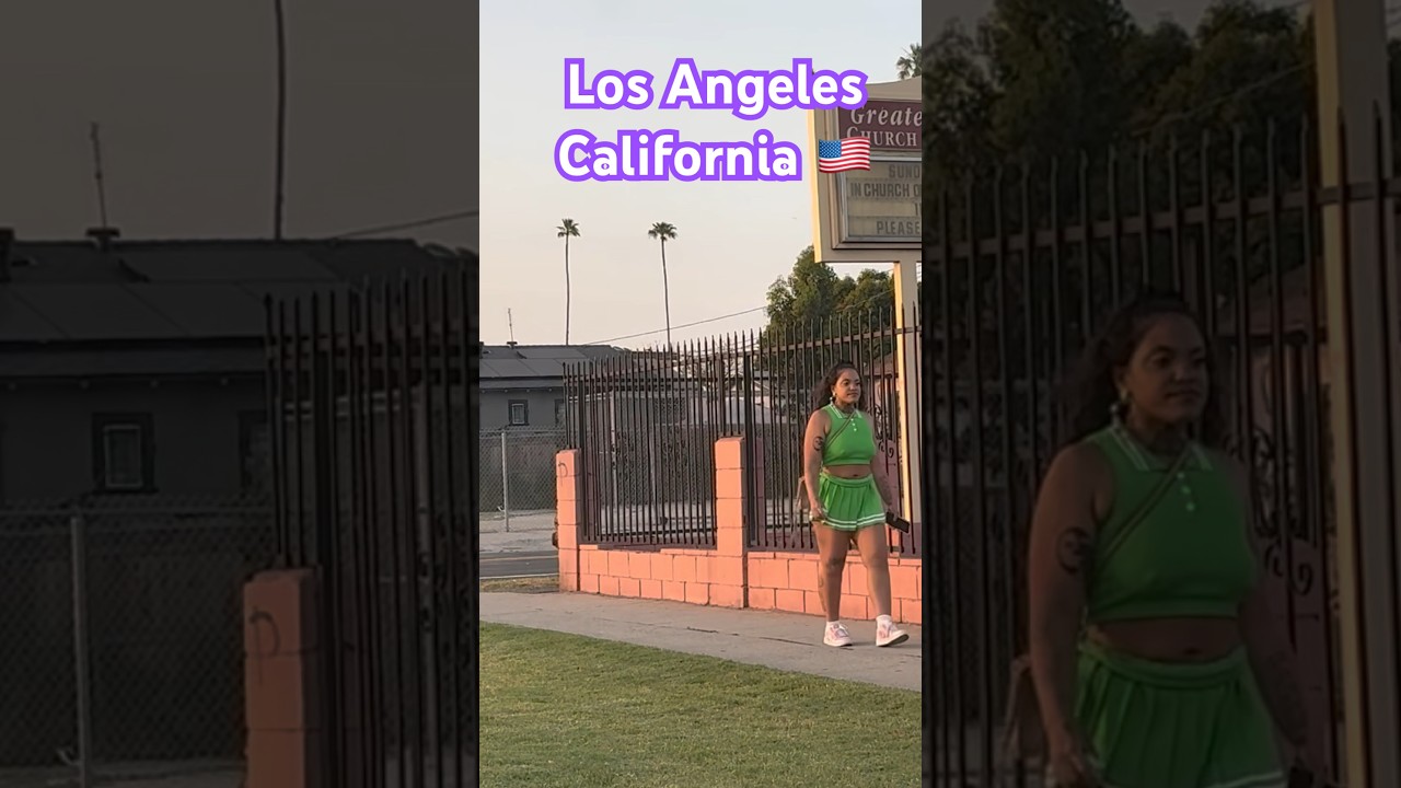 🌴👯‍♀️ Los Angeles Hoods 