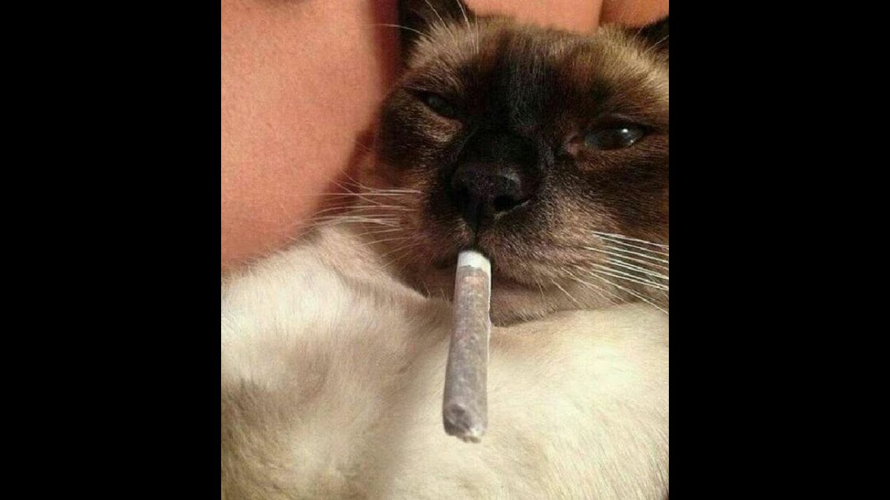 destroy lonely type beat "existential"