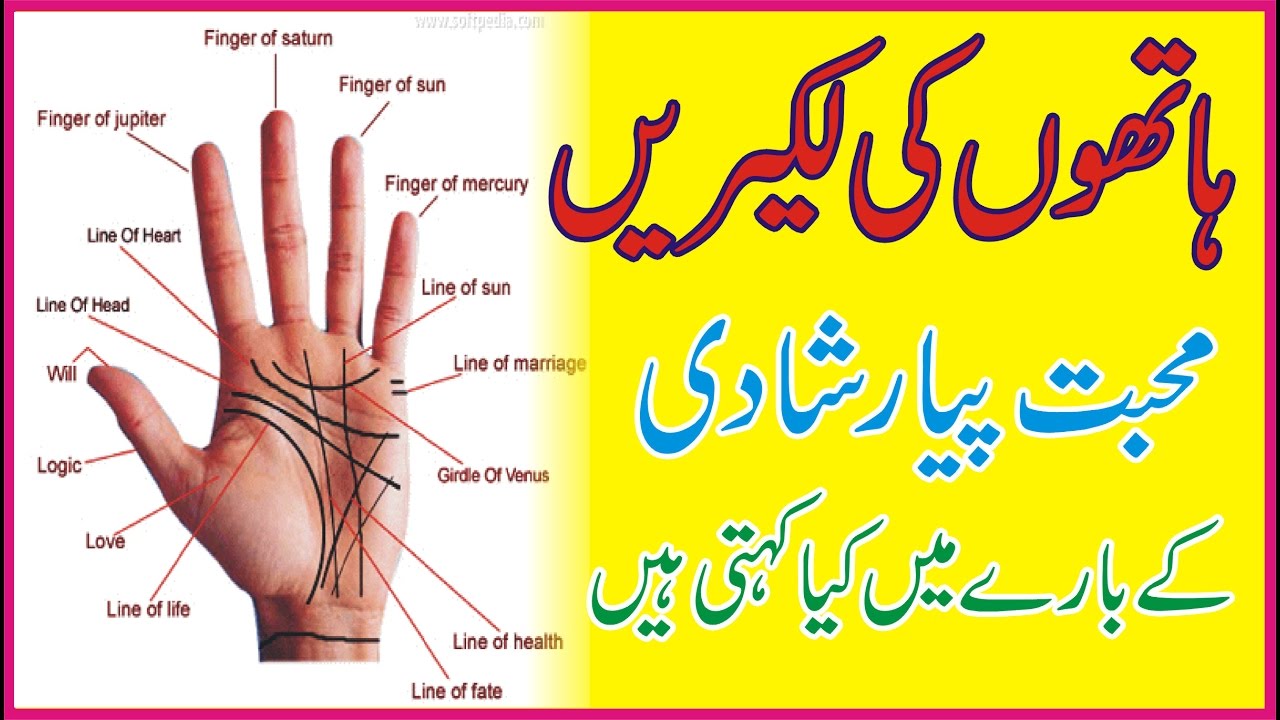 Palmistry Love palmistry love marriage line palmistry love ...