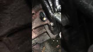 2004 Hyundai Elantra | Location of Crankshaft Sensor