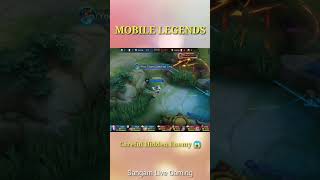 Counter Hero Mobile legends | 😱 Hidden Enemy 😂 | VALE VS YIN #shorts #mlbb #mobilelegends screenshot 3
