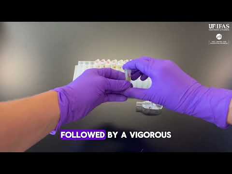 Pesticide Extraction from Leaves video preview