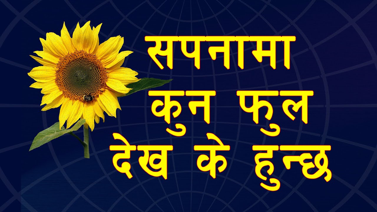 Seeing Flowers In Dream Hinduism YouTube Seeing Flowers In Dream Hinduism YouTube