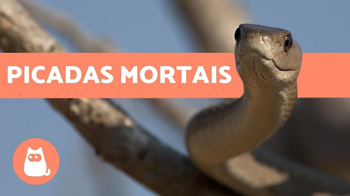 OS ANIMAIS MAIS VENENOSOS DO MUNDO 🐍