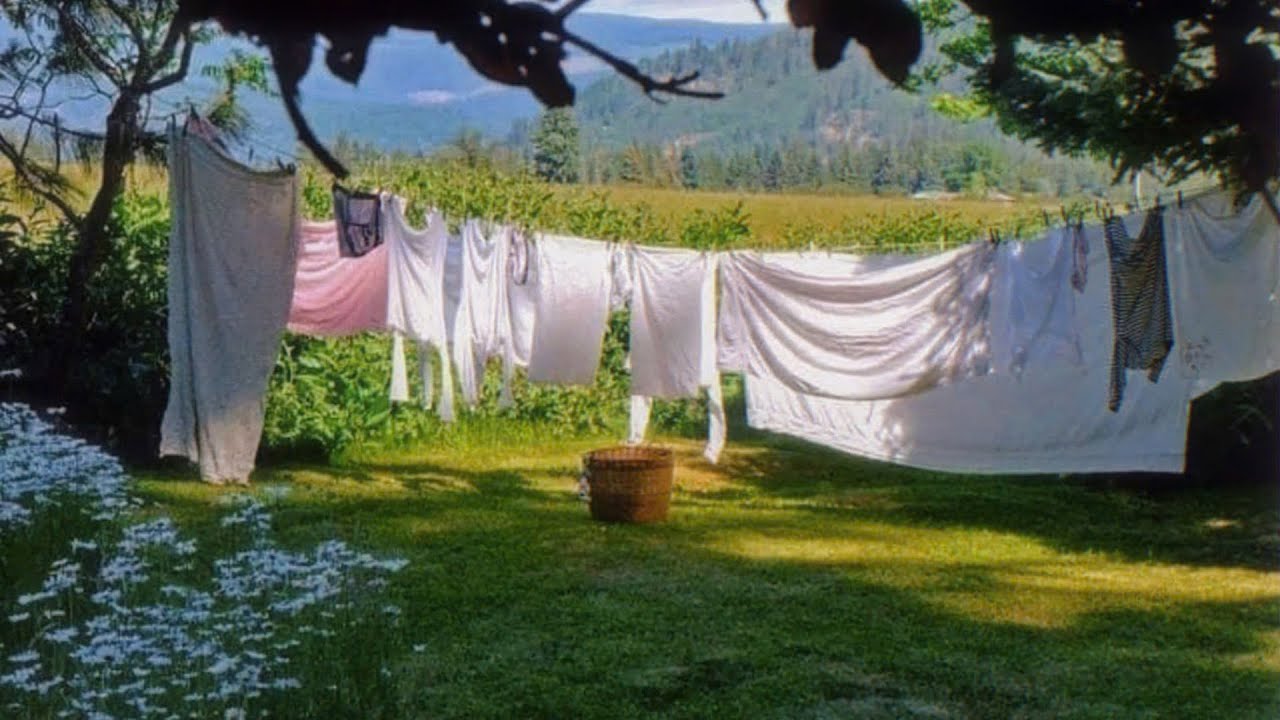 a quiet playlist for romanticizing living a quiet life 🍀