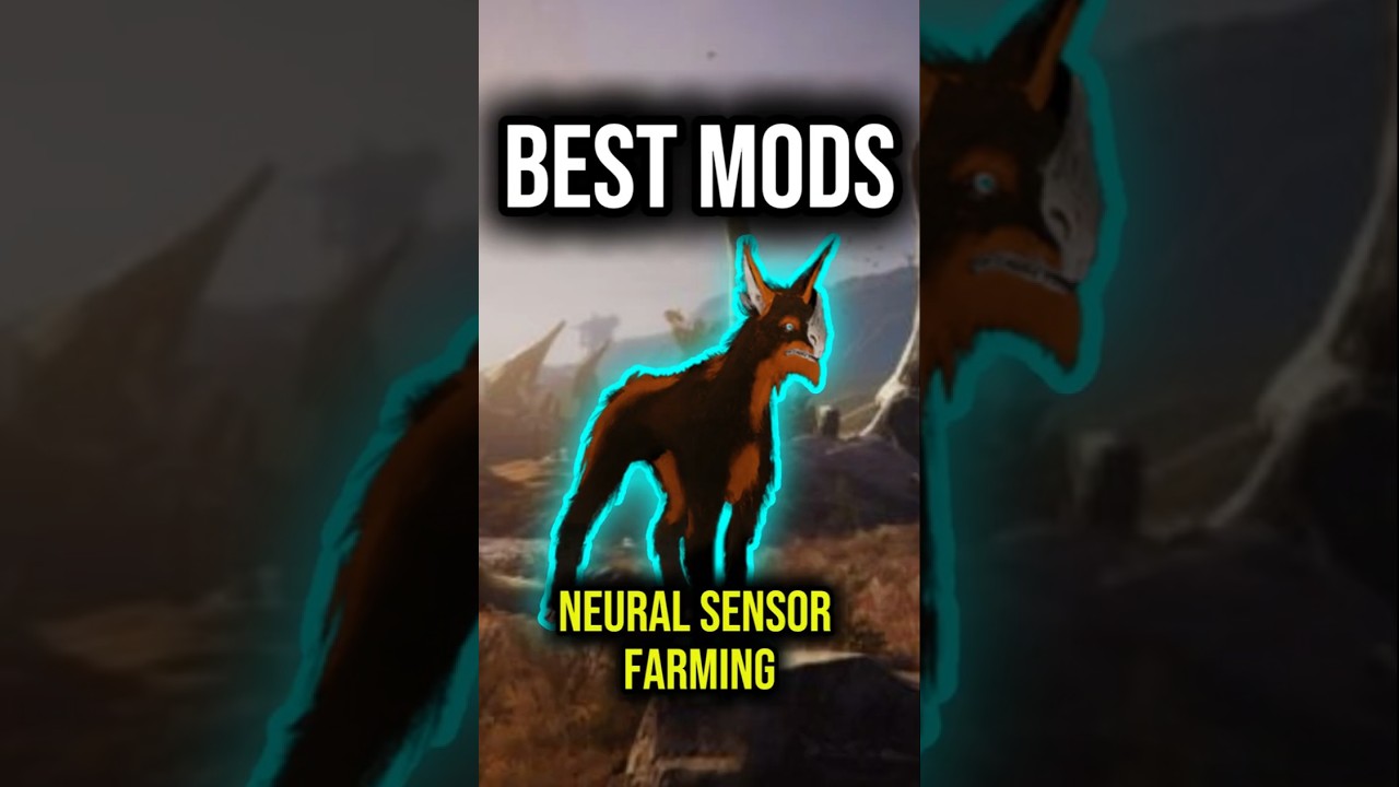 Companion Must Haves for Max Neural Sensor Drops! 