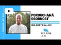 Terapie let 07 mgr martin kalous  porouchan osobnost