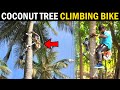 Coconut tree climbing bike coconut tree climber machine  coconut tree climbing machine