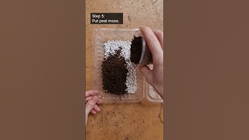 How to propagate Begonias (THE EASY LEAF & LEAVE METHOD)