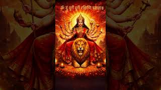 ॐ दुं दुर्गे दुर्गे रक्षिणि स्वाहा॥