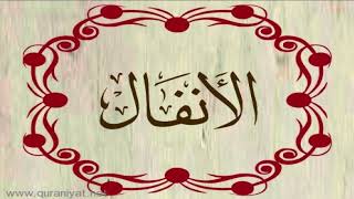 الشيخ محمد حسان - سورة الأنفال