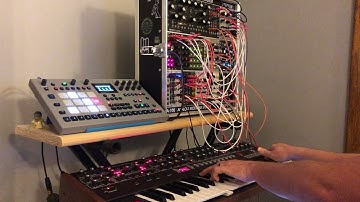 A Work In Progress. Prophet 6, Elektron RYTM MK2, KeyStep Pro feeding the Moog Mother 32 and Rings.