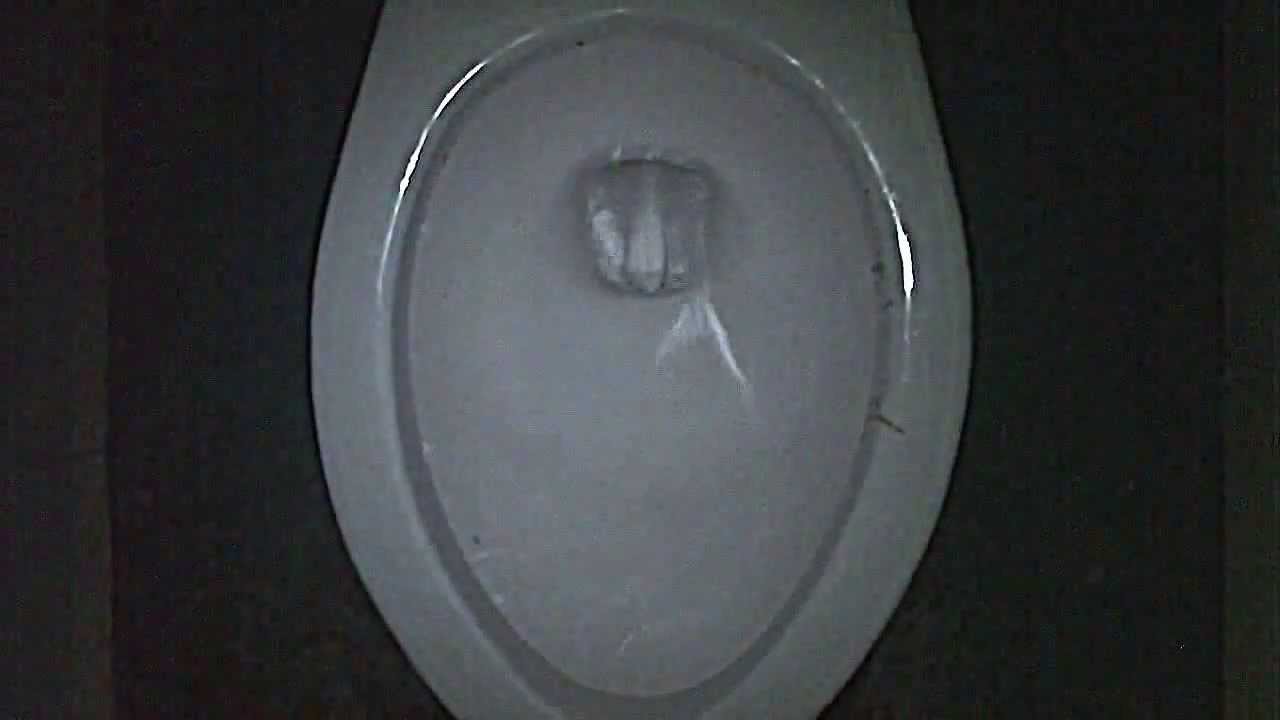 Kilgore Toilet YouTube